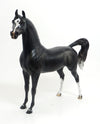 DAWAR #2- LE4 Each W/Unique Markings Dappled Black Arabian 8/21