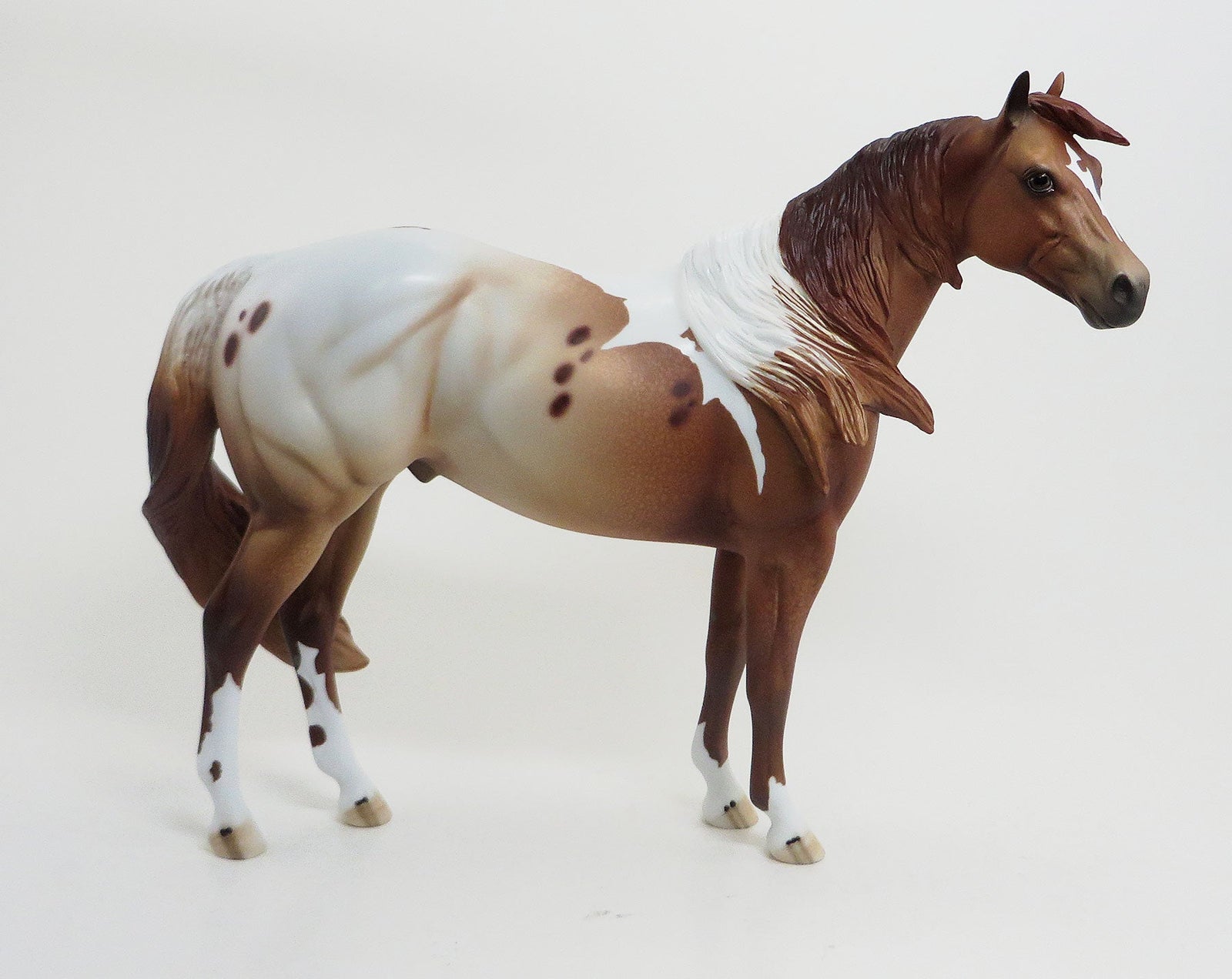 PANYA - OOAK Chestnut Pintaloosa Stock Horse 8/21