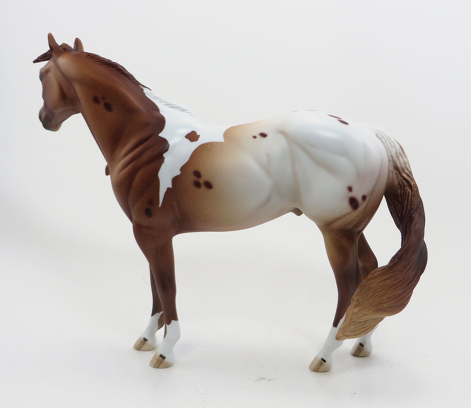PANYA - OOAK Chestnut Pintaloosa Stock Horse 8/21