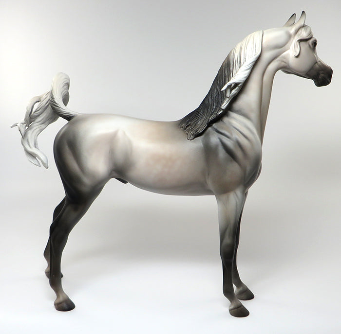 SHEEZ-LIGHT GREY ARABIAN MODEL HORSE BY KAREN DIETRICH 6/13