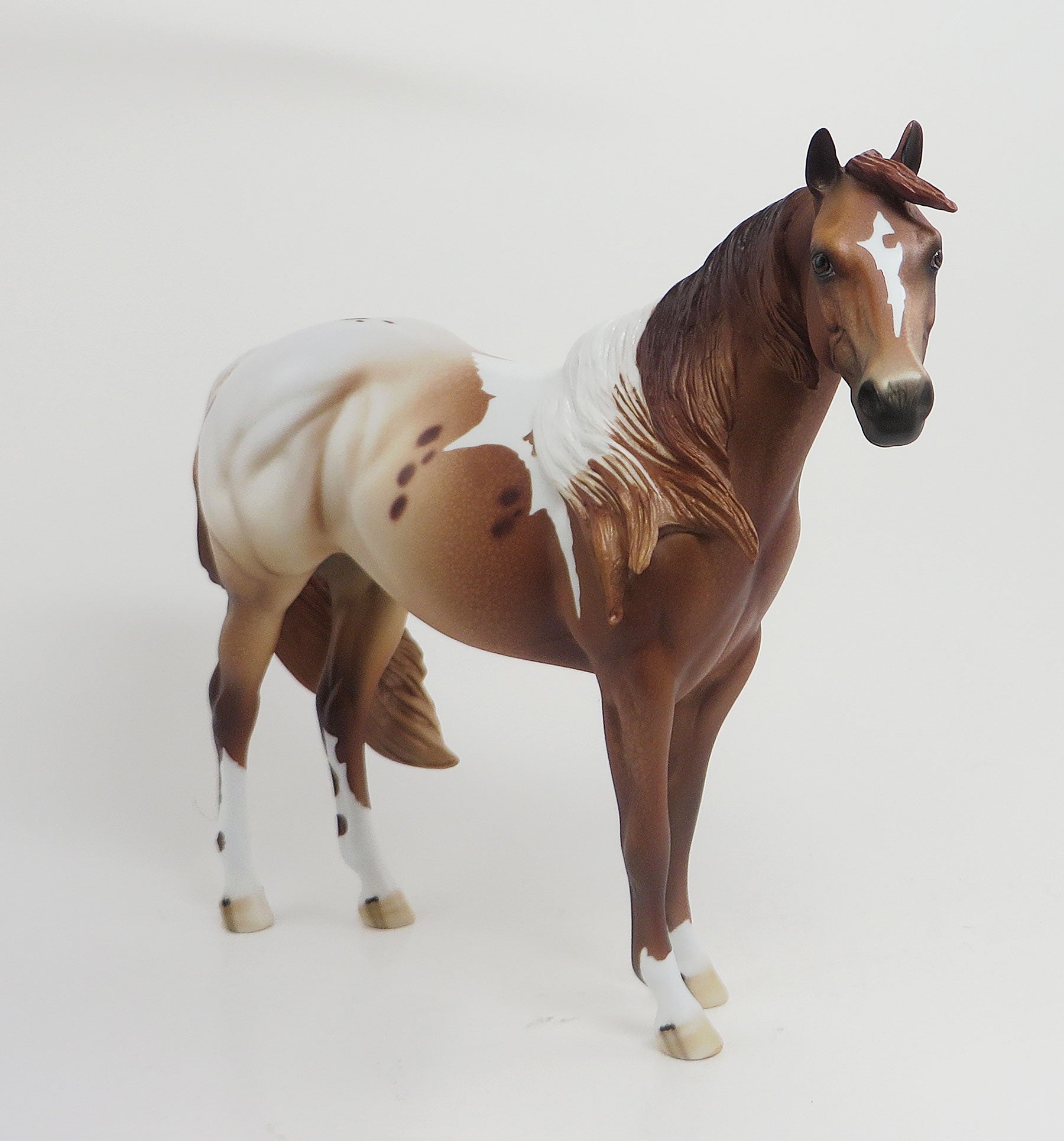 PANYA - OOAK Chestnut Pintaloosa Stock Horse 8/21