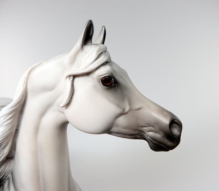 SHEEZ-LIGHT GREY ARABIAN MODEL HORSE BY KAREN DIETRICH 6/13