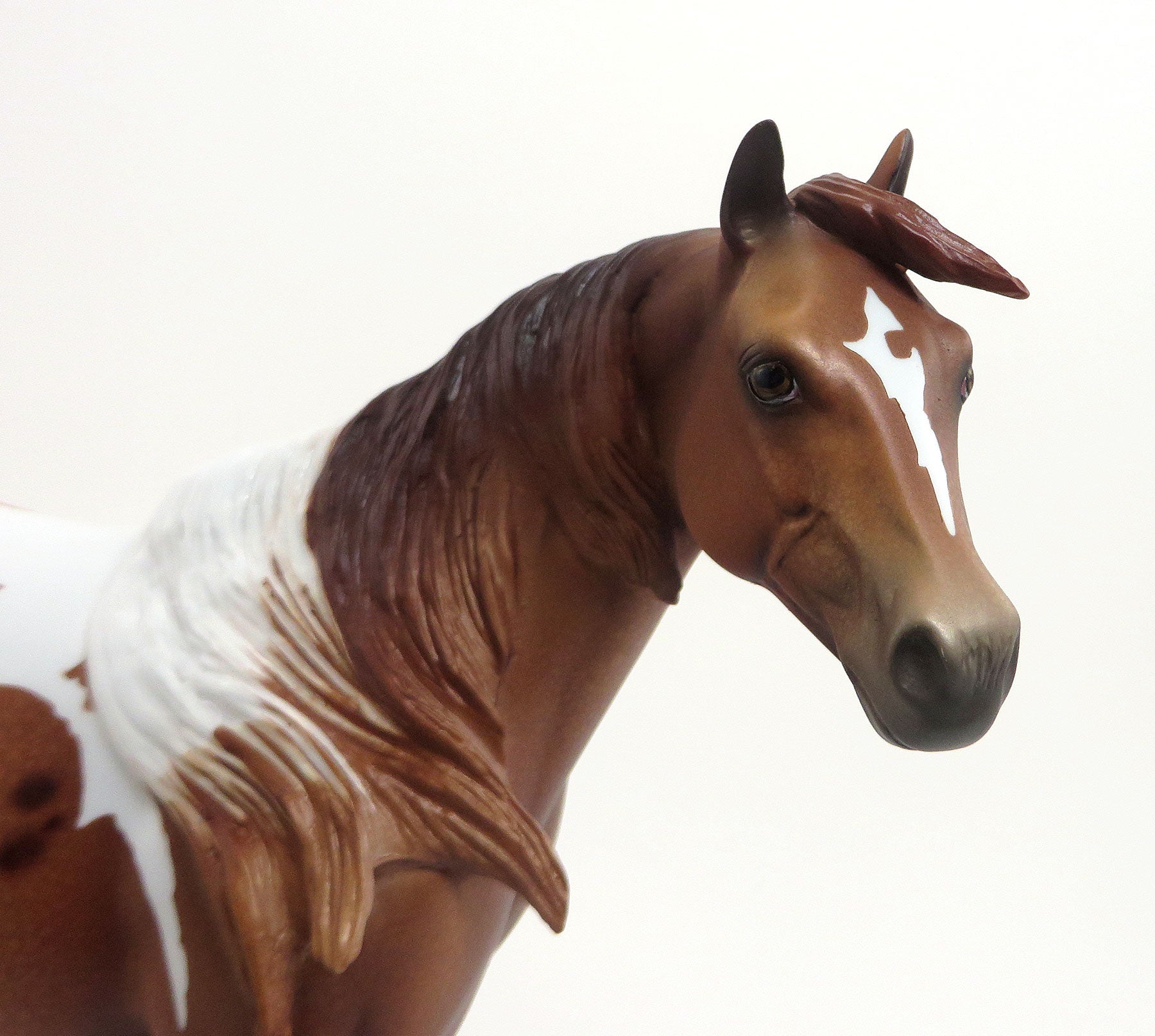 PANYA - OOAK Chestnut Pintaloosa Stock Horse 8/21