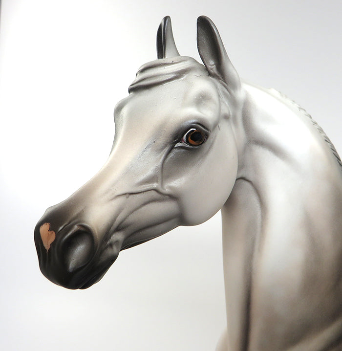 SHEEZ-LIGHT GREY ARABIAN MODEL HORSE BY KAREN DIETRICH 6/13