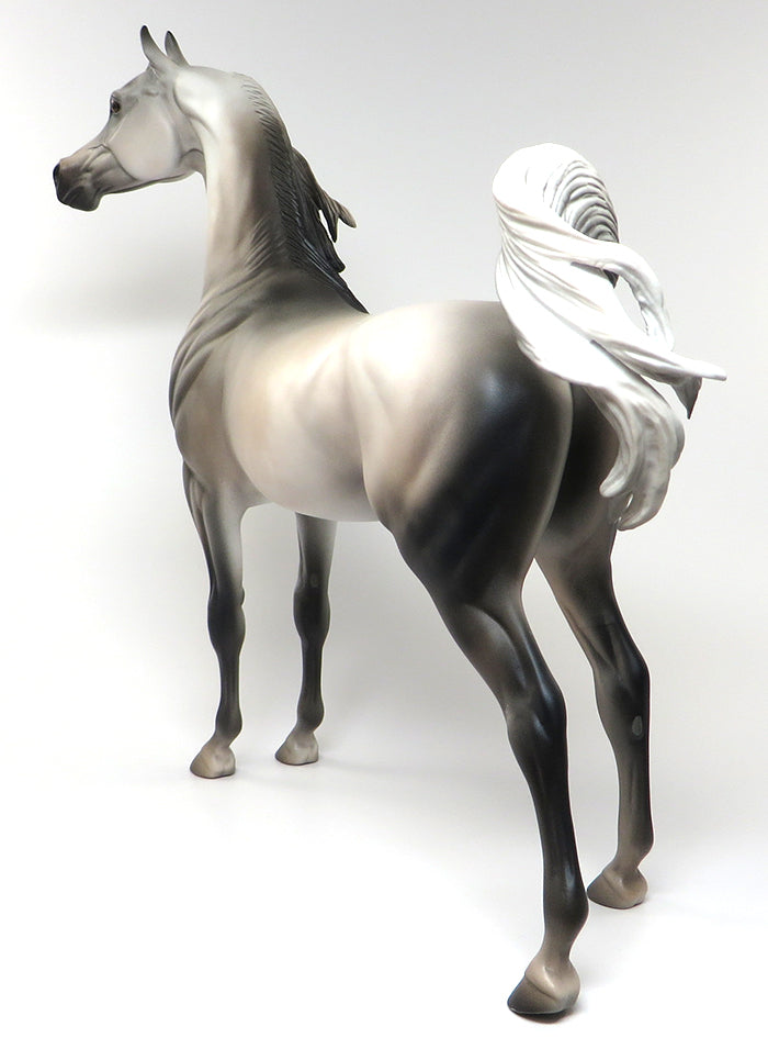 SHEEZ-LIGHT GREY ARABIAN MODEL HORSE BY KAREN DIETRICH 6/13