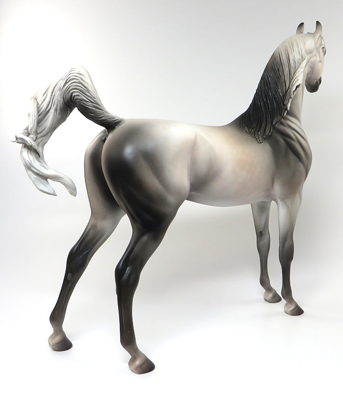 SHEEZ-LIGHT GREY ARABIAN MODEL HORSE BY KAREN DIETRICH 6/13