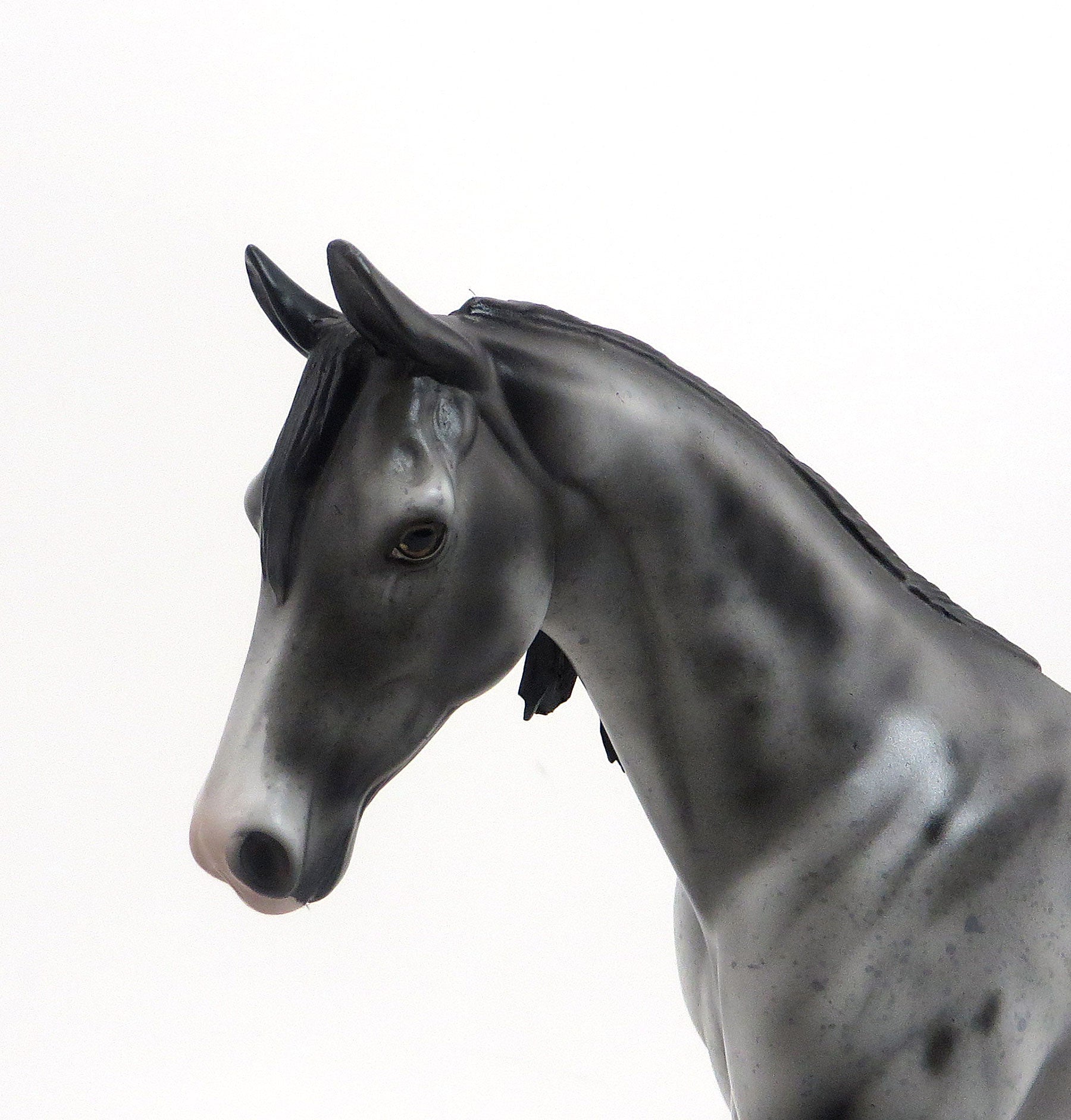 WAMIL- OOAK Grey Appaloosa Pony 8/21