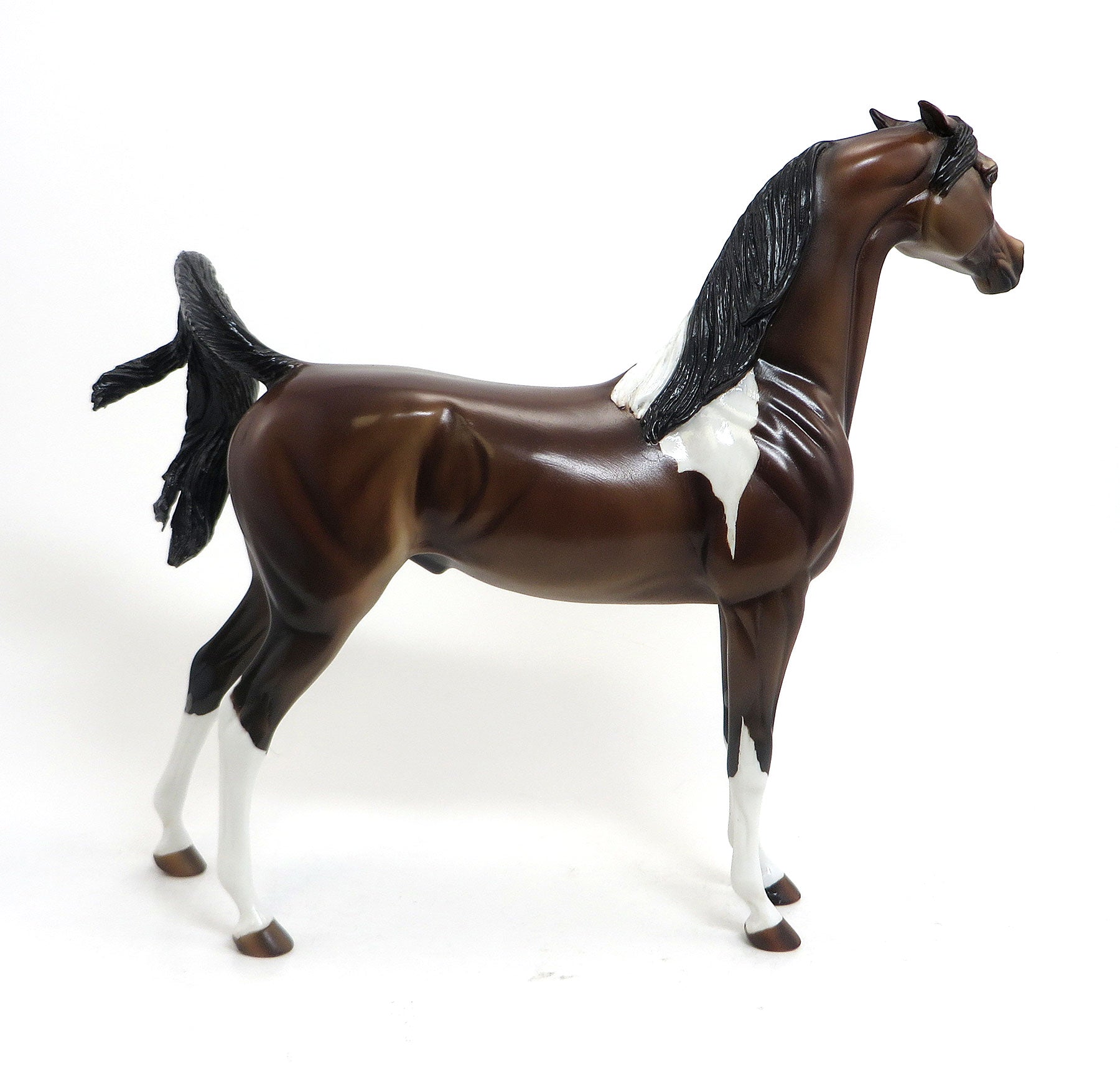 DEPECHE MODE- OOAK Pinned  Eared Bay Pinto  Arabian 8/21