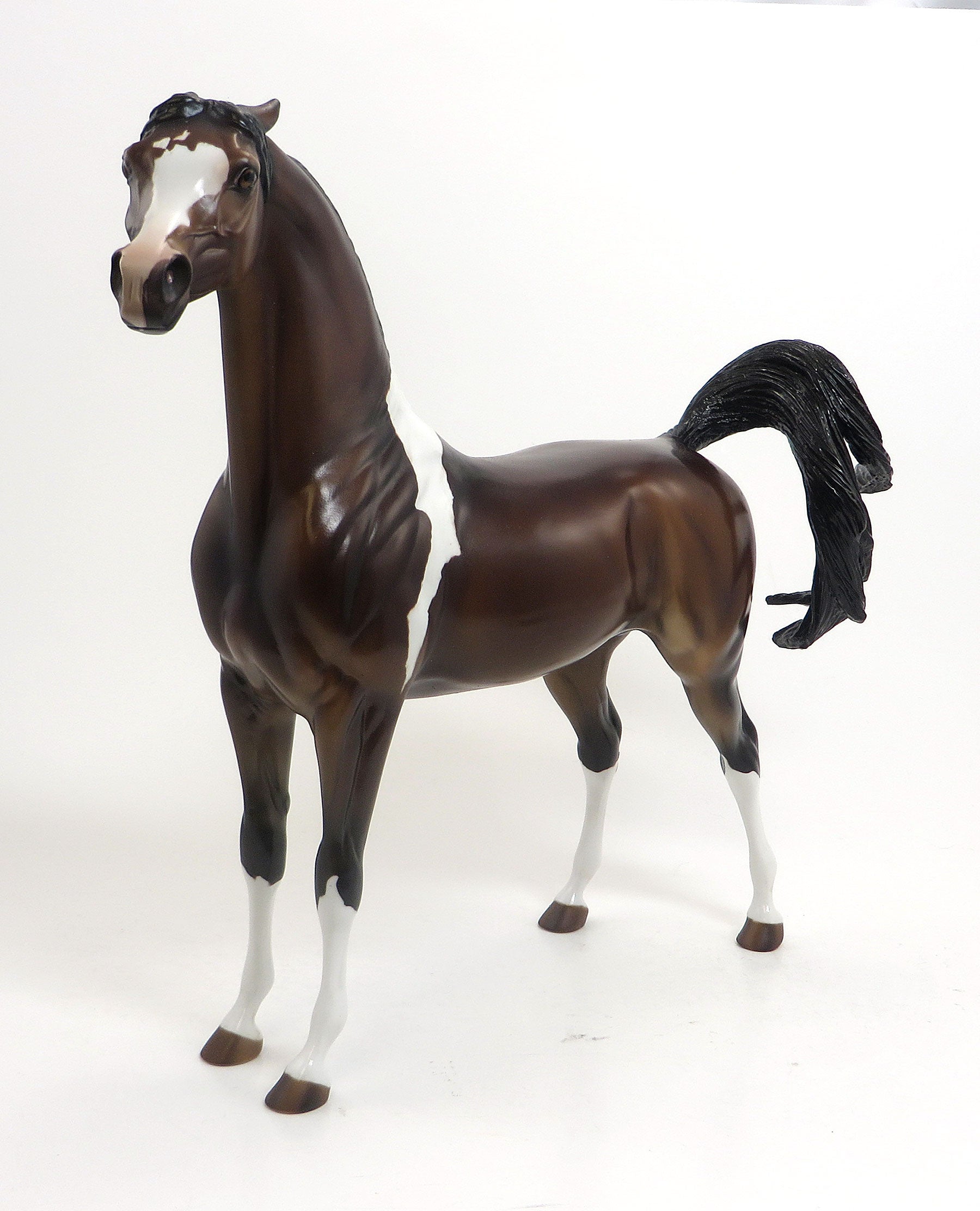 DEPECHE MODE- OOAK Pinned  Eared Bay Pinto  Arabian 8/21