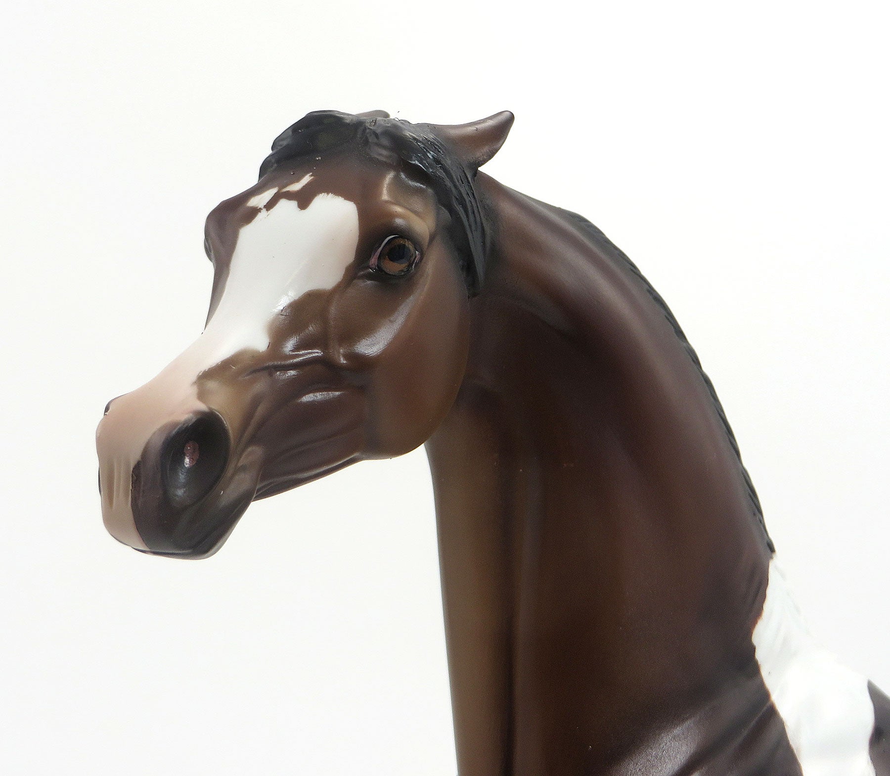 DEPECHE MODE- OOAK Pinned  Eared Bay Pinto  Arabian 8/21