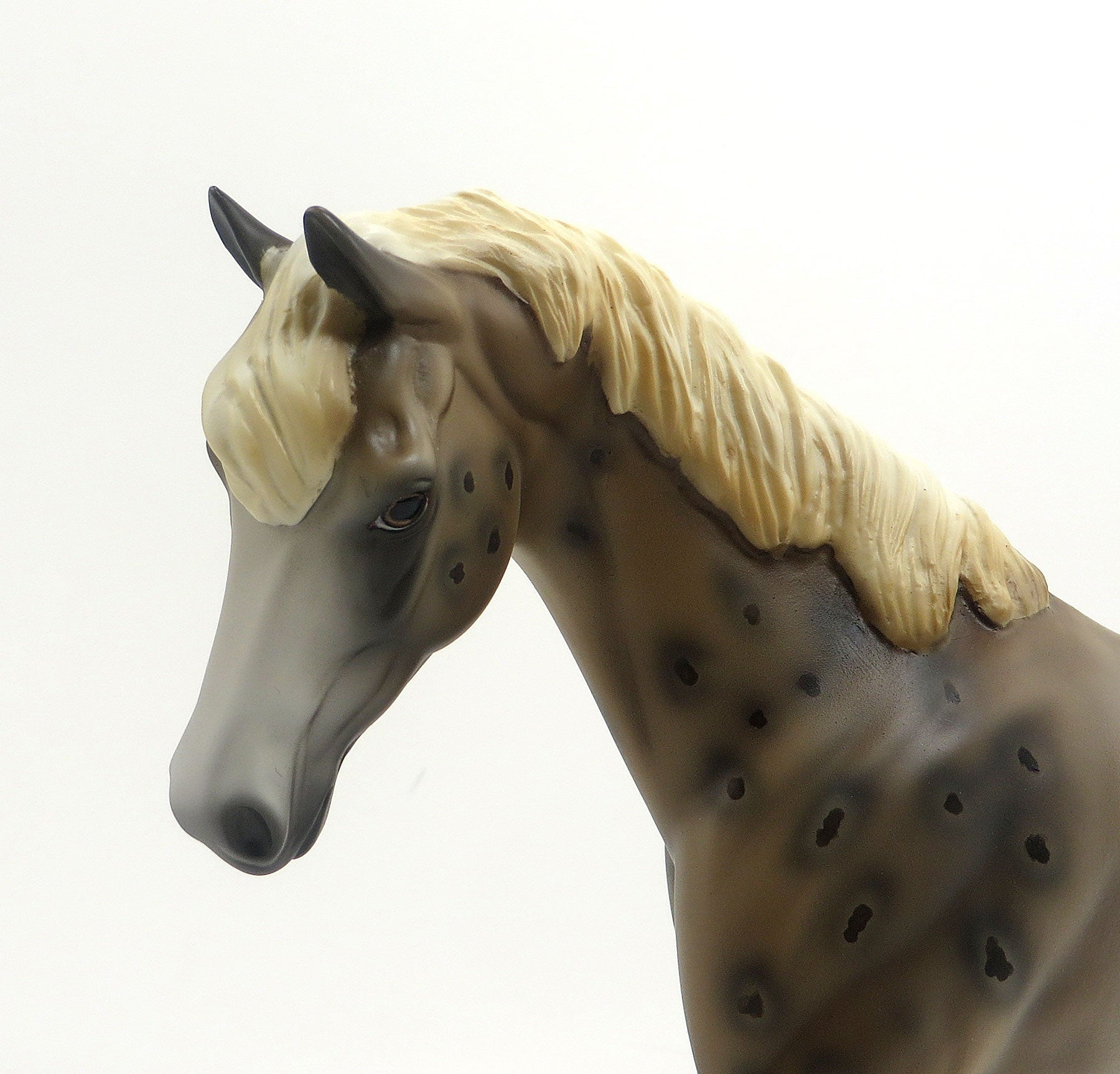 HIRKANI - OOAK Appaloosa with Peacock Spots Model Horse Pony - 8/21