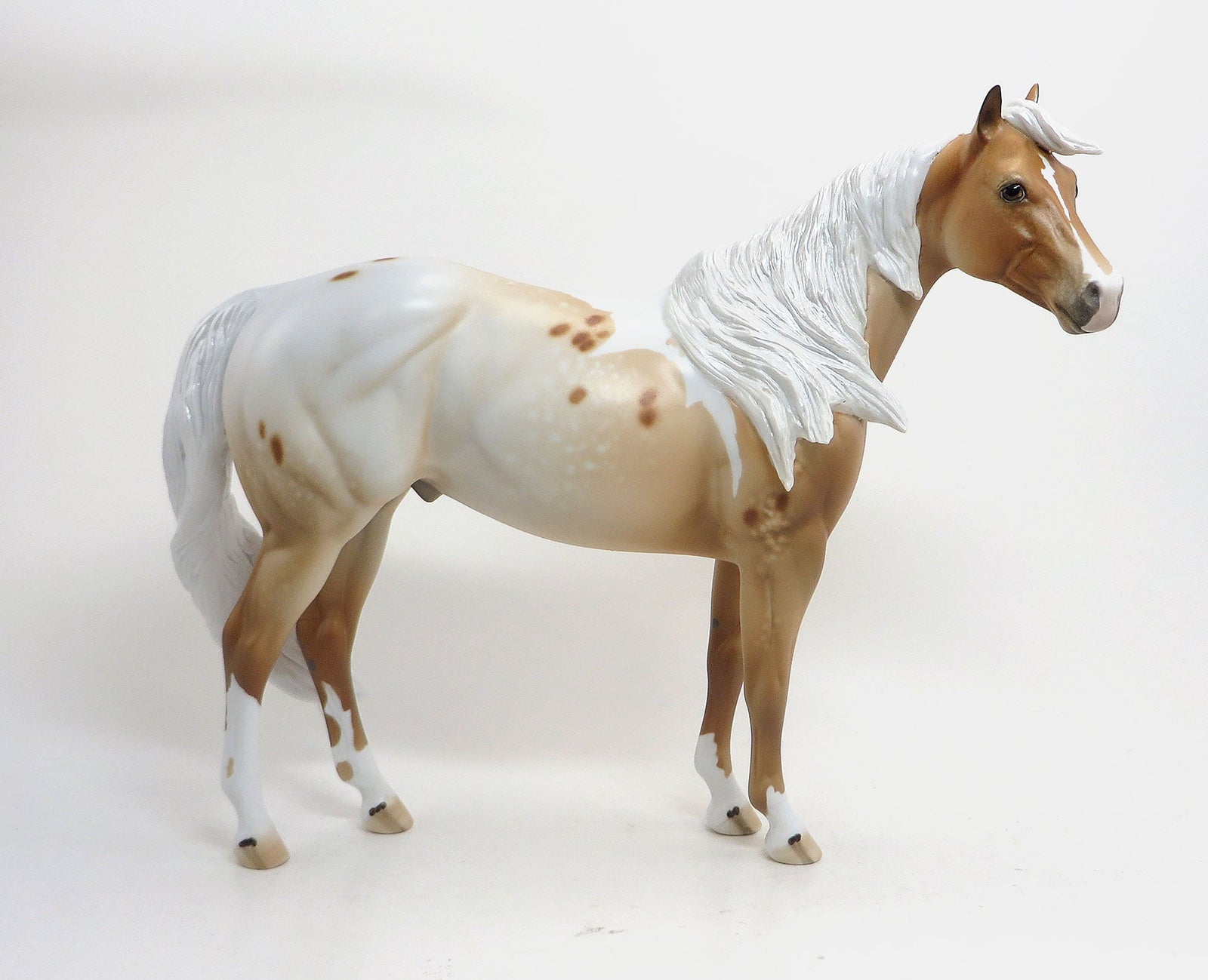 ETU - OOAK Palomino Pintaloosa Stock Horse 8/21