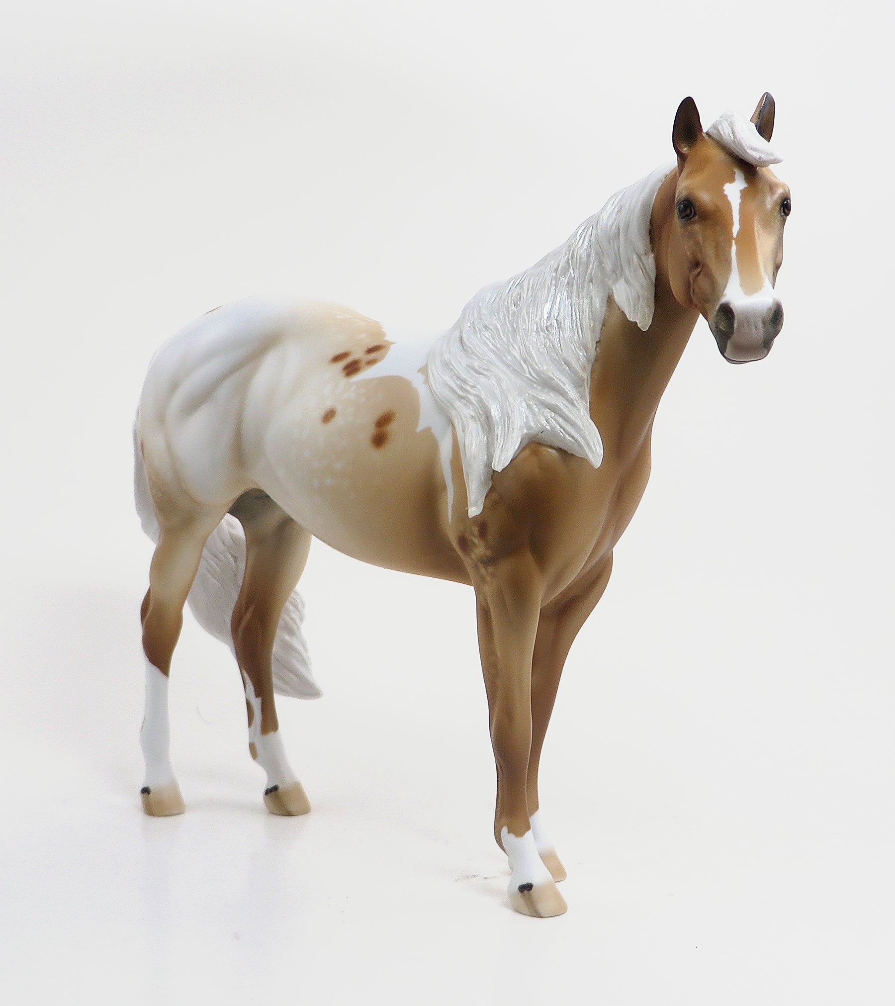 ETU - OOAK Palomino Pintaloosa Stock Horse 8/21