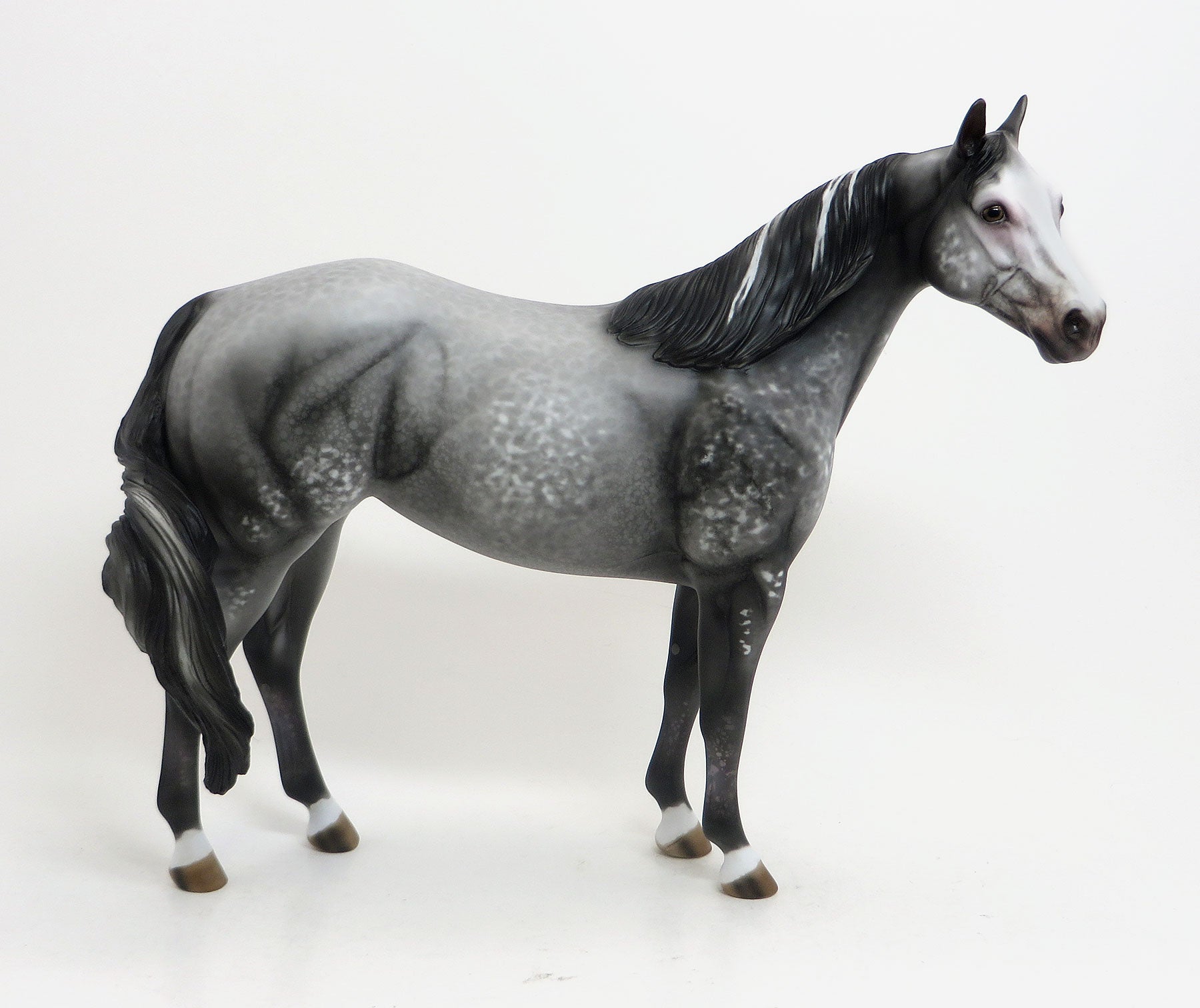 PELIPA - OOAK Dark Grey Appaloosa Stock Horse Mare 8/21