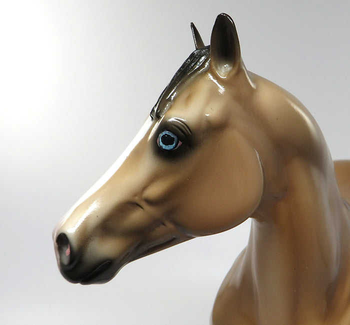 GOOSE-OOAK DAPPLED BUCKSKIN ISH MODEL HORSE 5/24