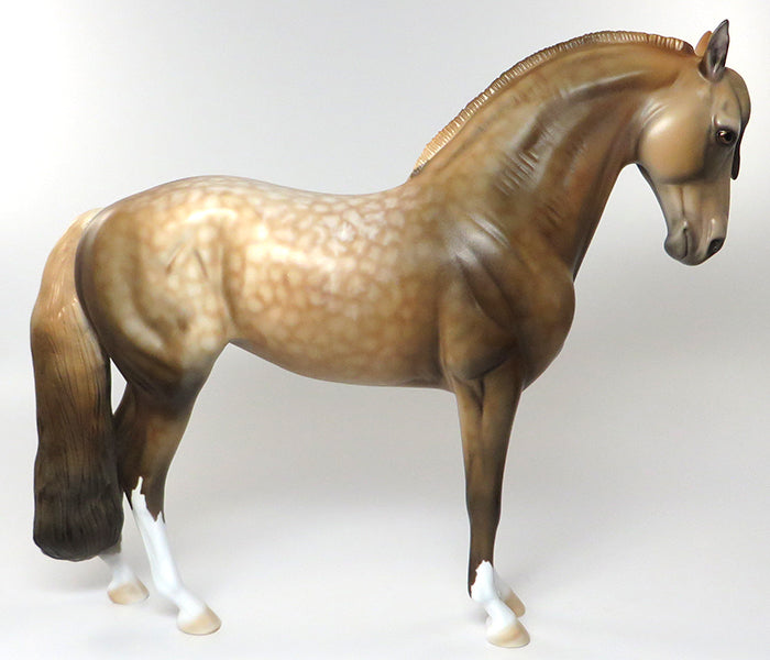 COLUMBIANO-LE-10 SOOTY PALOMINO ANDAULUSIAN BY DAWN QUICK