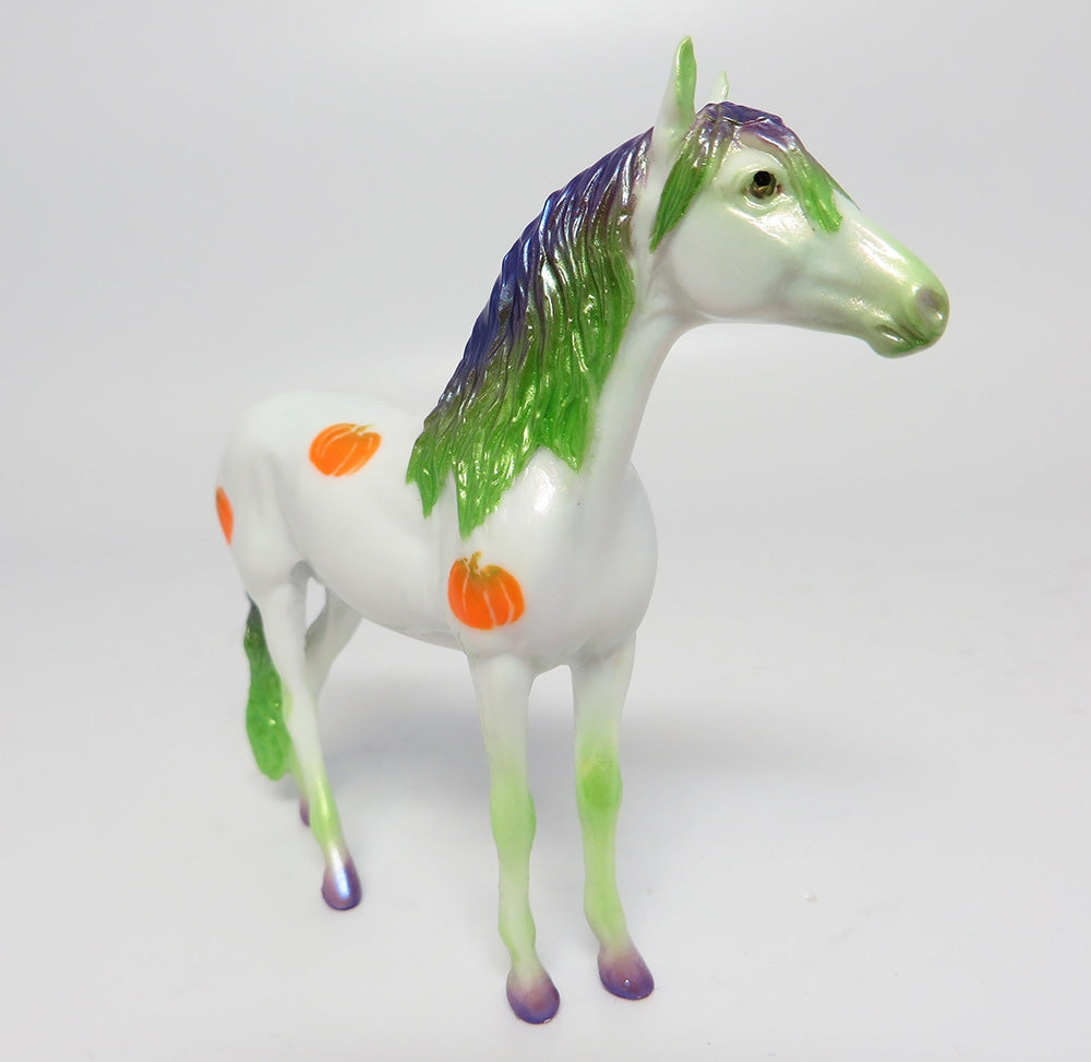 MY LITTLE PUMPKIN~OOAK ANDALUSIAN PUMPKIN DECORATOR CHIP 10/20/17