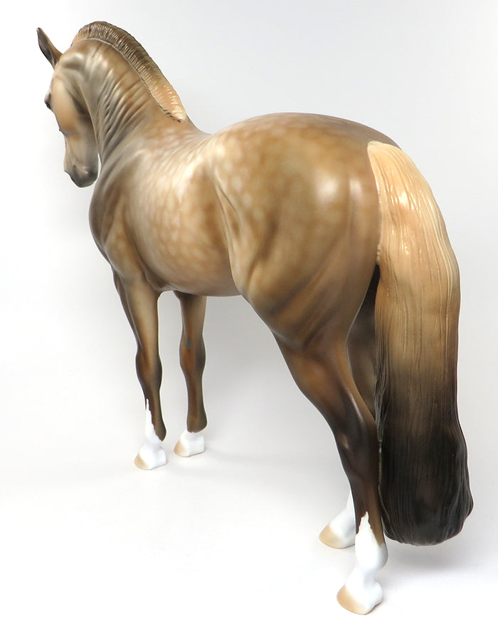 COLUMBIANO-LE-10 SOOTY PALOMINO ANDAULUSIAN BY DAWN QUICK