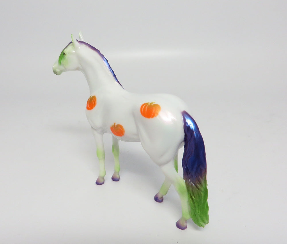 MY LITTLE PUMPKIN~OOAK ANDALUSIAN PUMPKIN DECORATOR CHIP 10/20/17