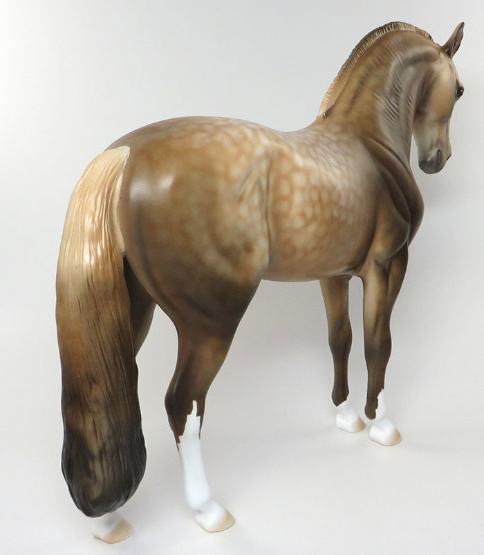 COLUMBIANO-LE-10 SOOTY PALOMINO ANDAULUSIAN BY DAWN QUICK