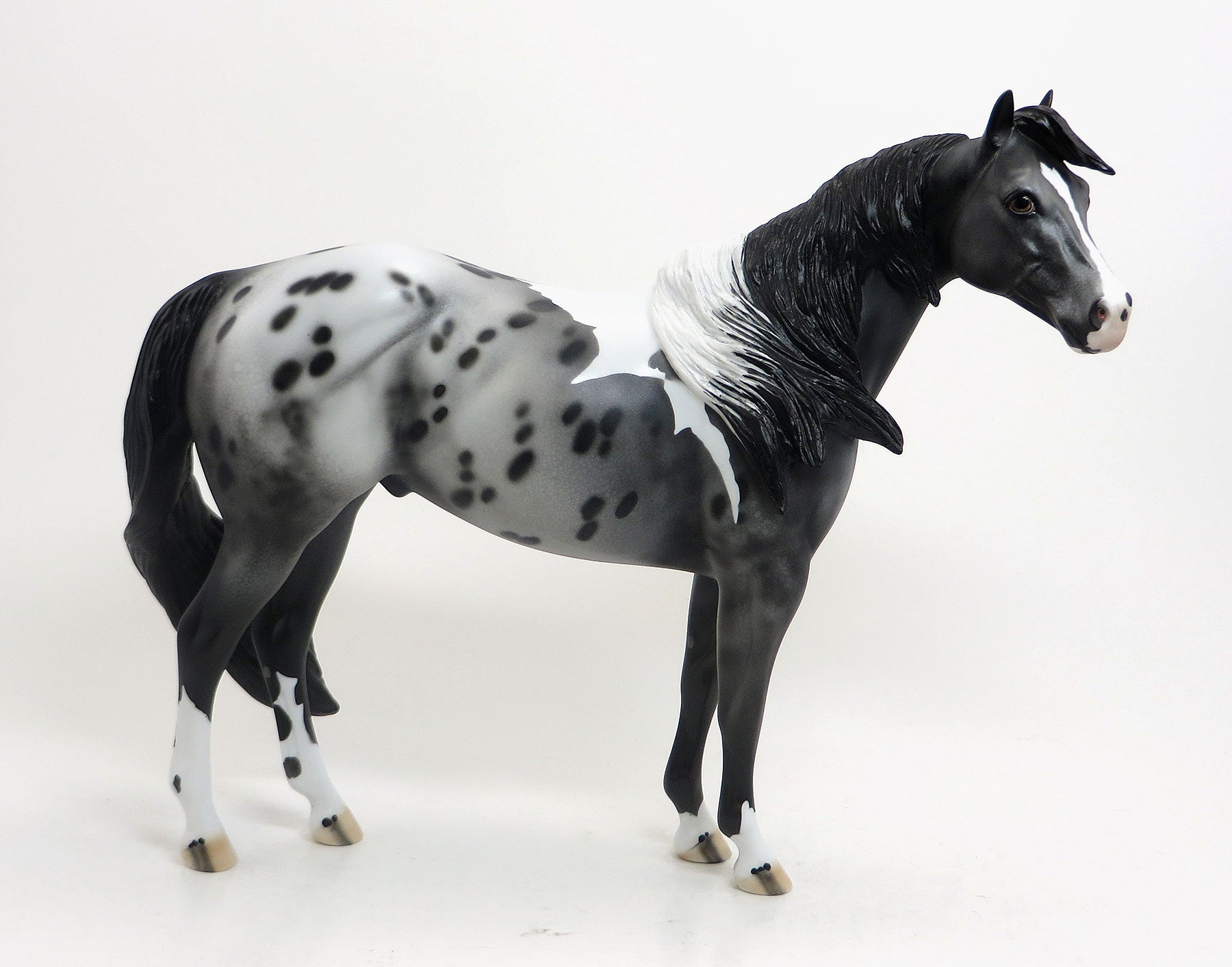 ENYETO - OOAK Black Pintaloosa Stock Horse 8/21
