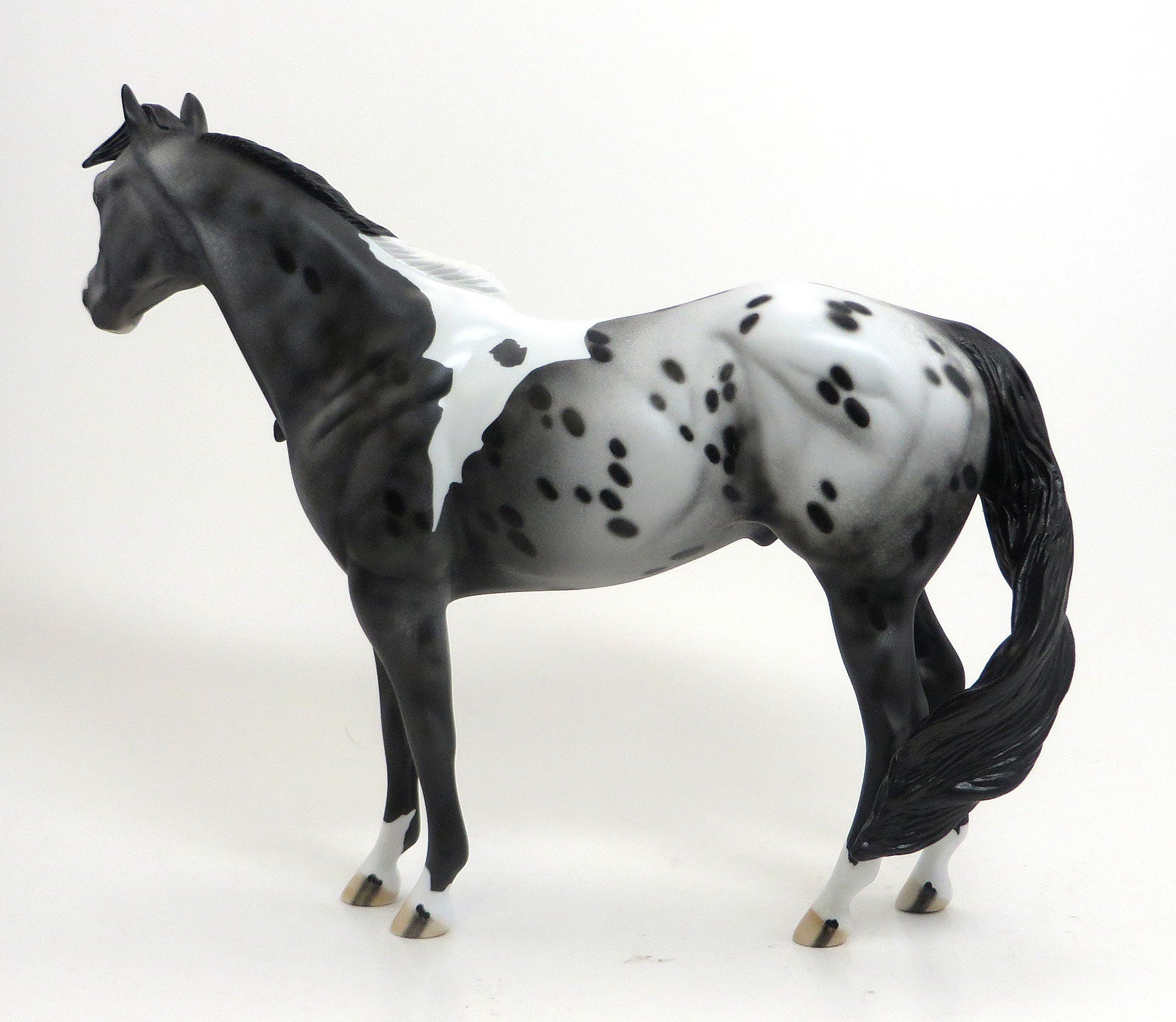 ENYETO - OOAK Black Pintaloosa Stock Horse 8/21