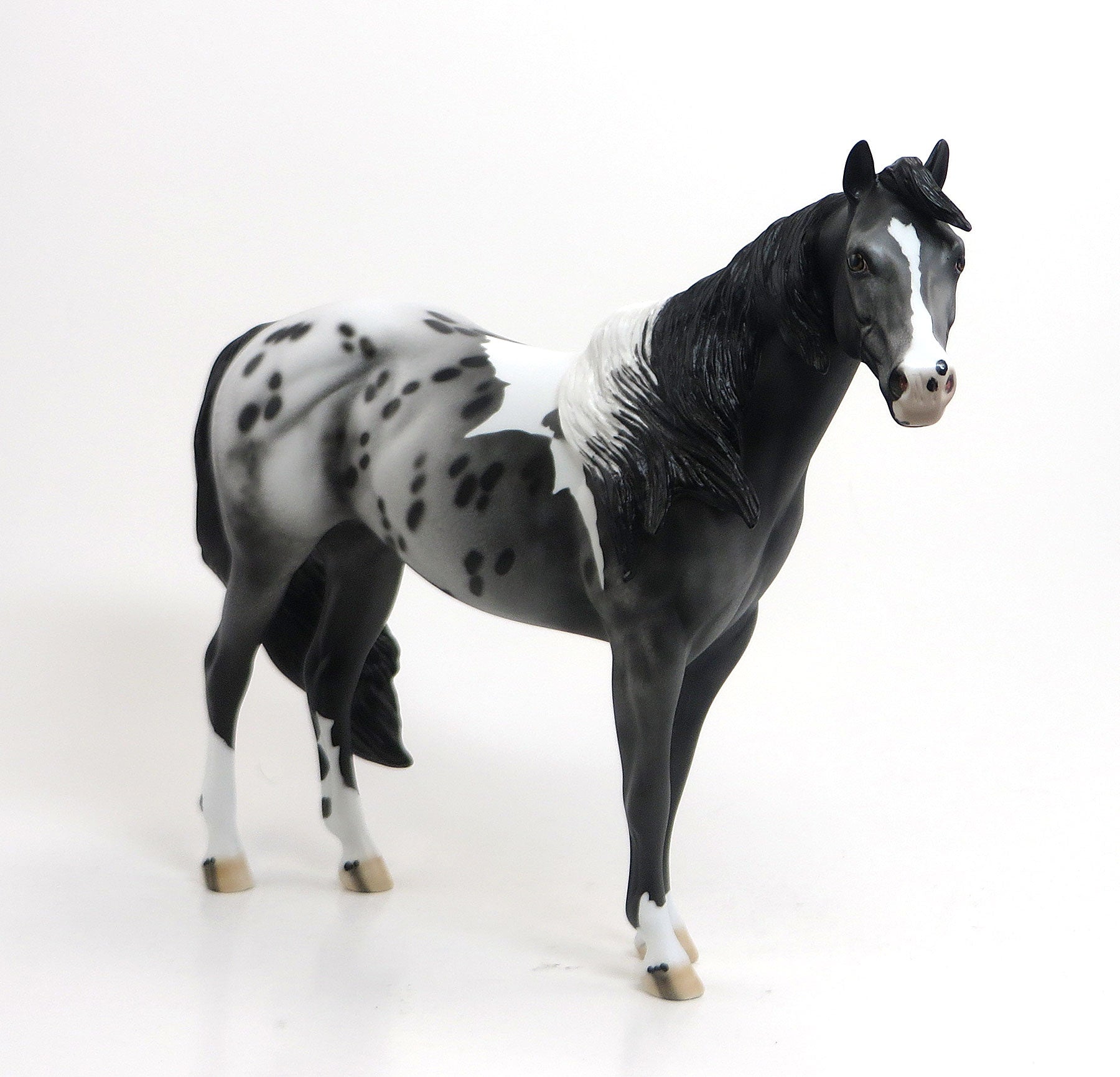 ENYETO - OOAK Black Pintaloosa Stock Horse 8/21
