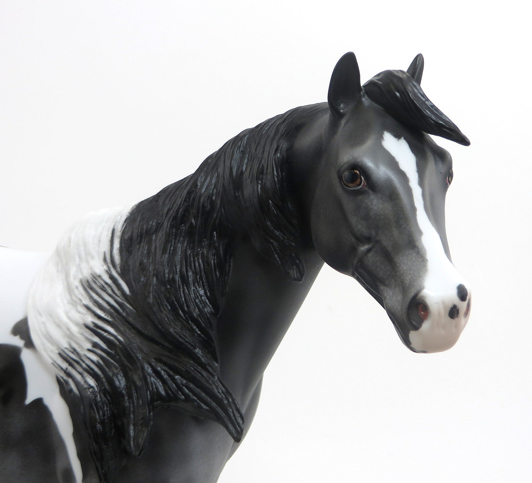 ENYETO - OOAK Black Pintaloosa Stock Horse 8/21