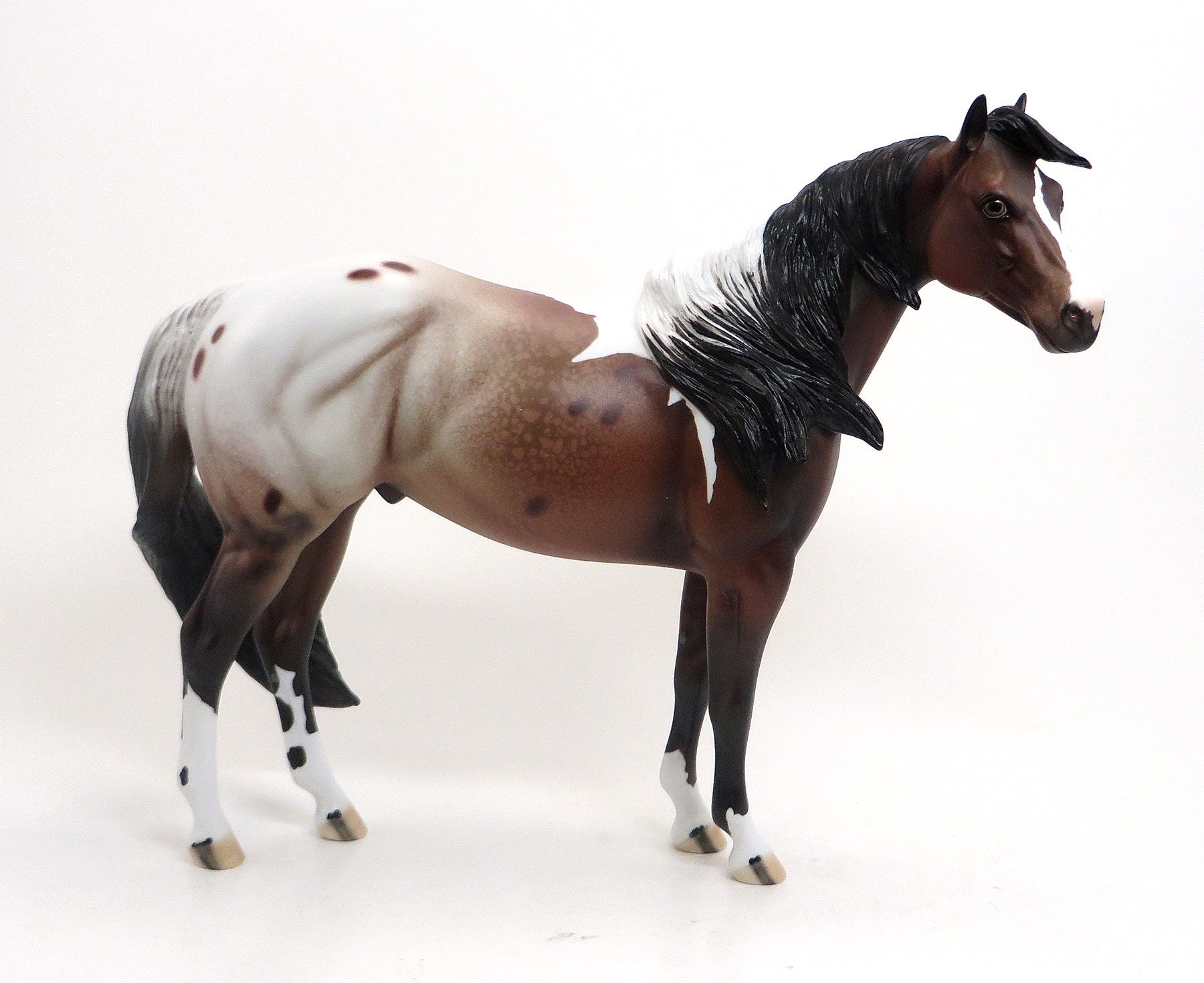 BODAWAY - OOAK Bay Pintaloosa Stock Horse 8/21