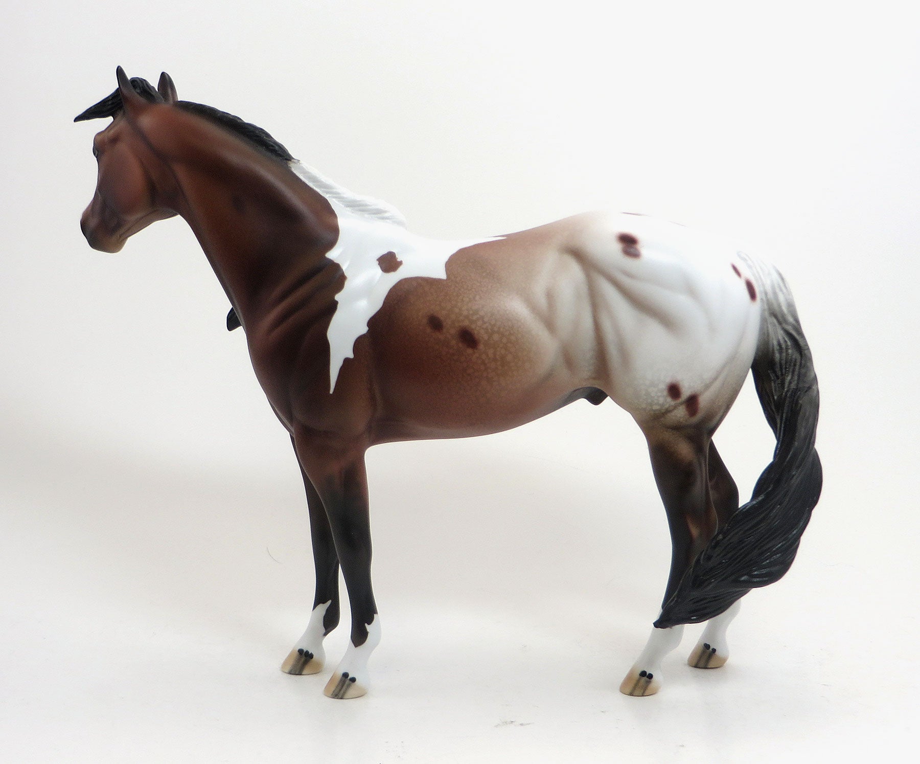 BODAWAY - OOAK Bay Pintaloosa Stock Horse 8/21