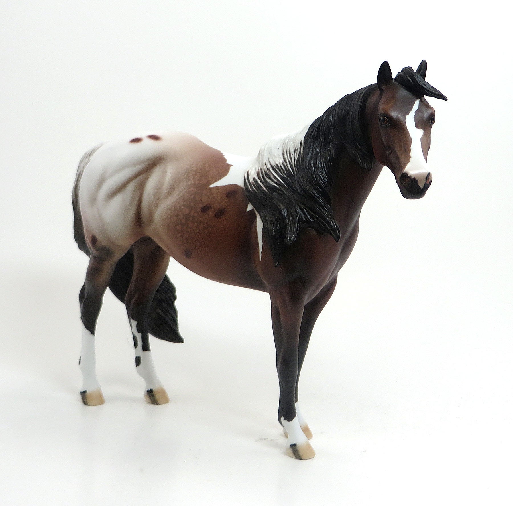 BODAWAY - OOAK Bay Pintaloosa Stock Horse 8/21