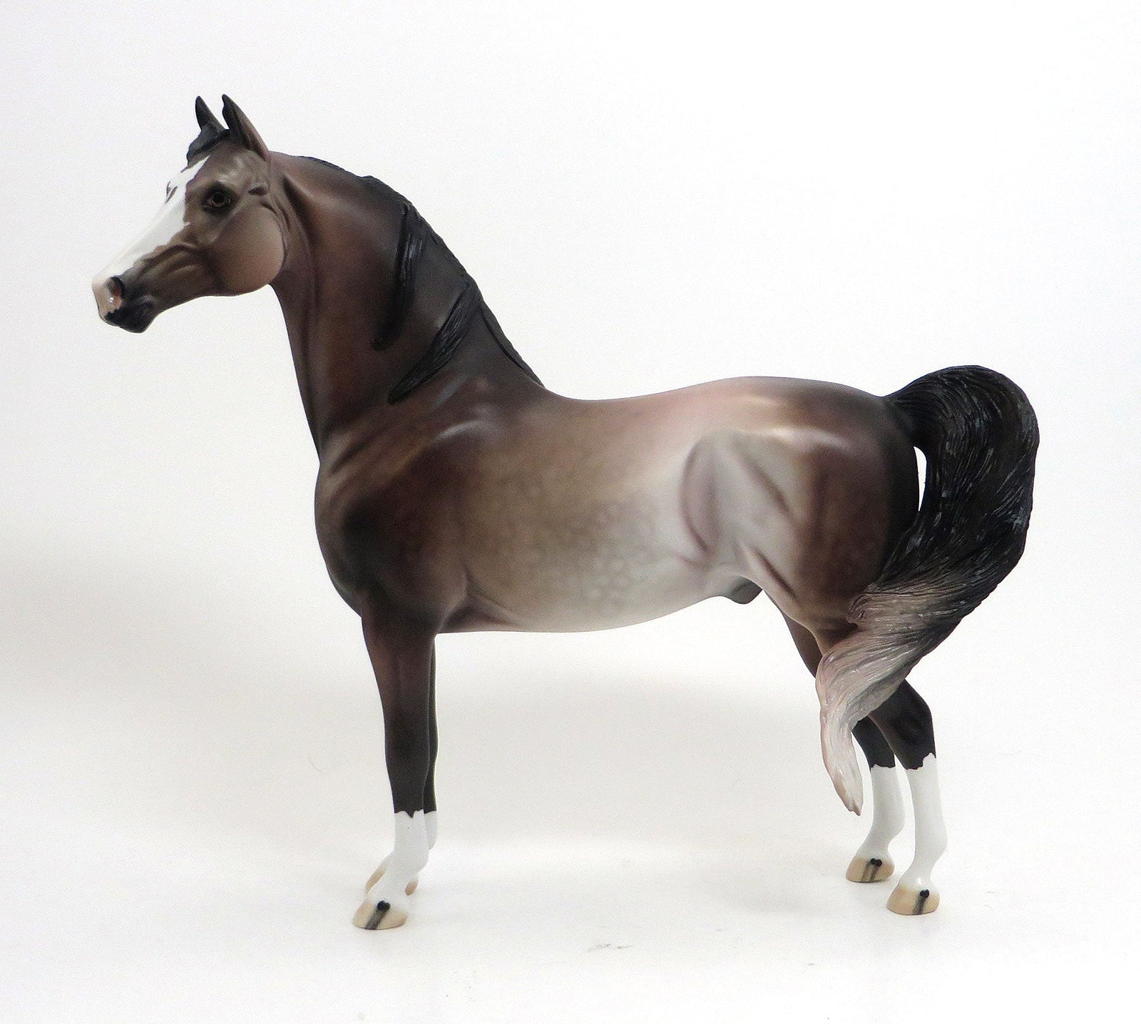 ROYAL BLOOD - OOAK Dappled Rose Grey Morgan 8/21