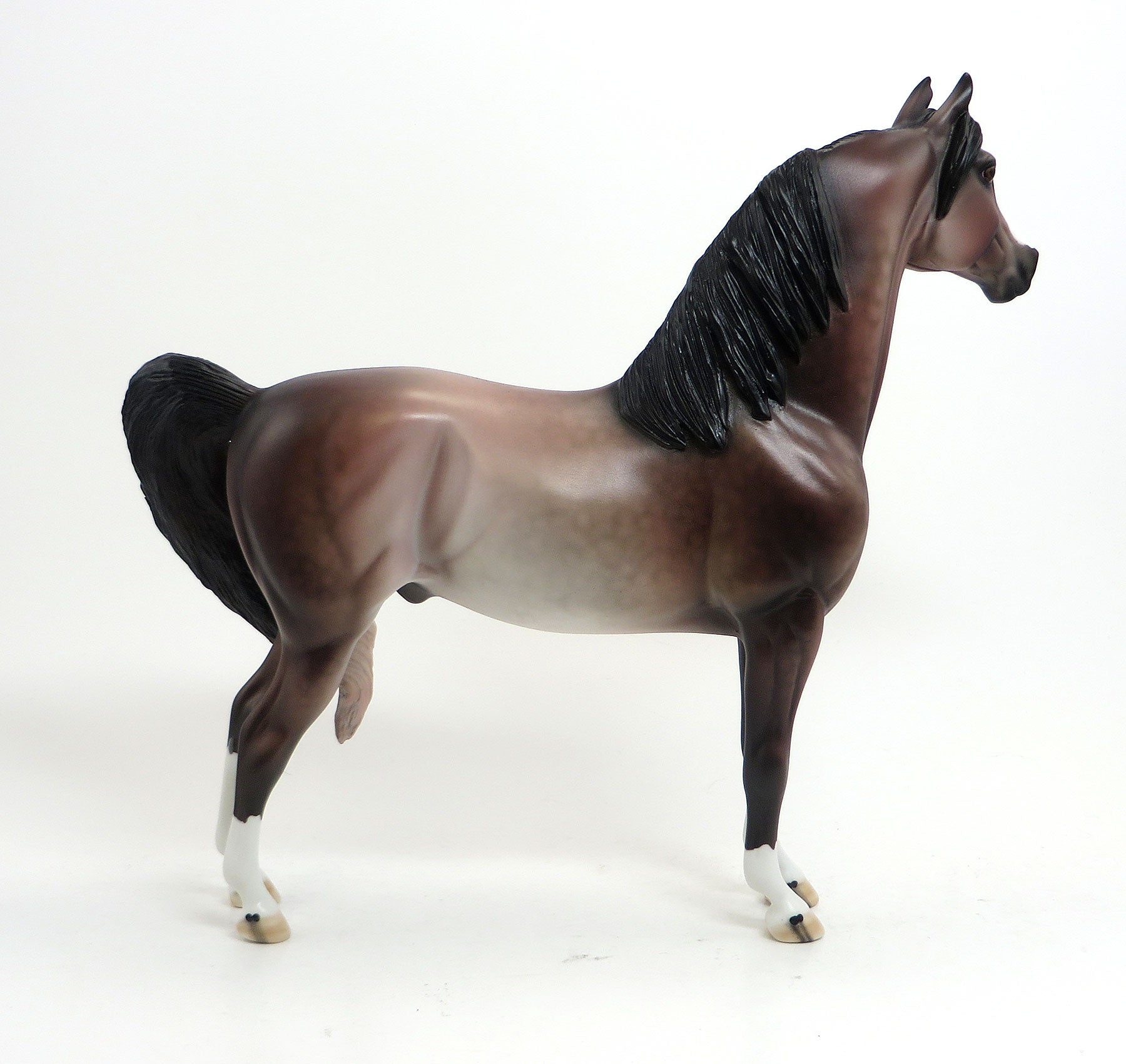 ROYAL BLOOD - OOAK Dappled Rose Grey Morgan 8/21