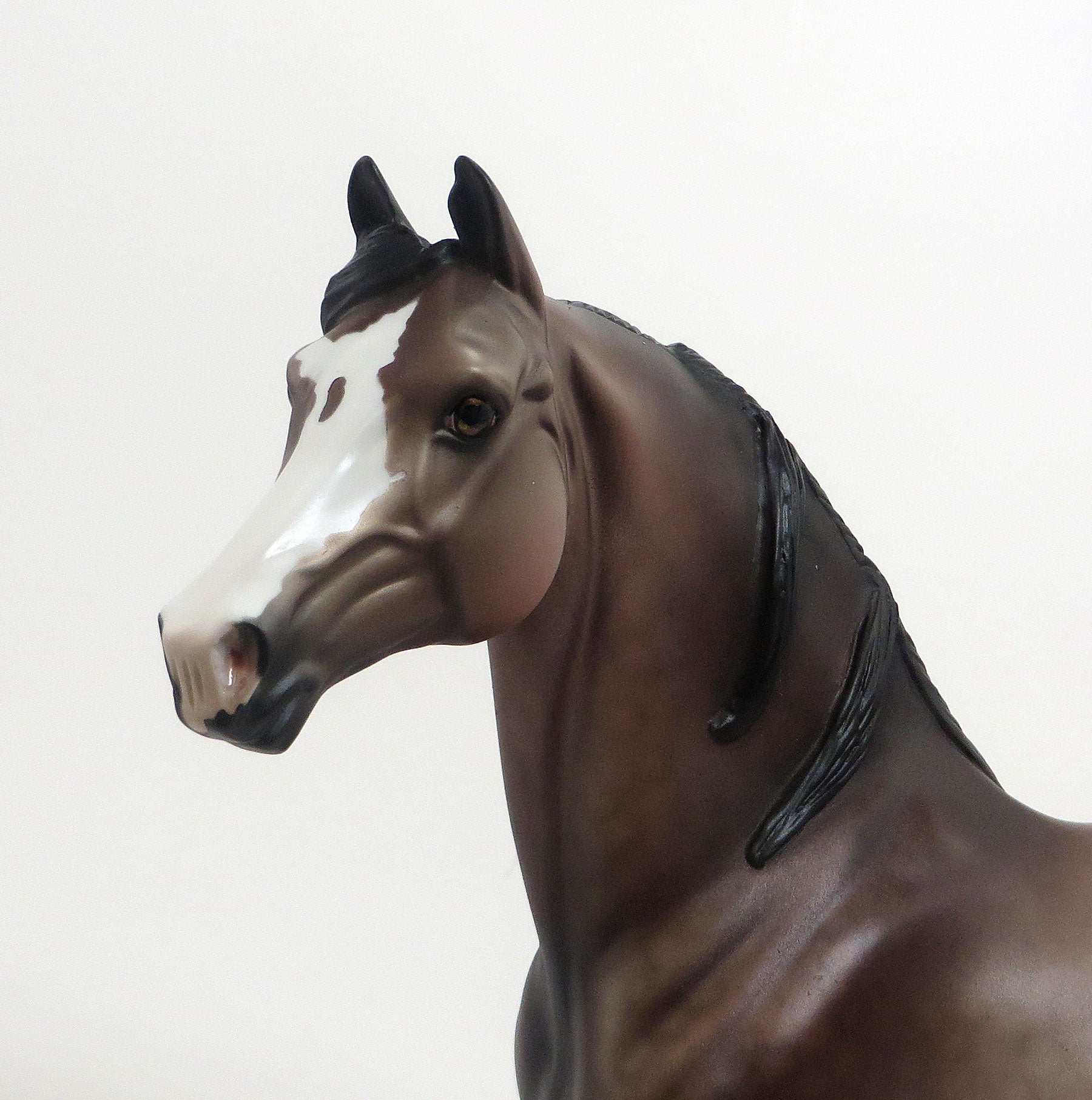 ROYAL BLOOD - OOAK Dappled Rose Grey Morgan 8/21