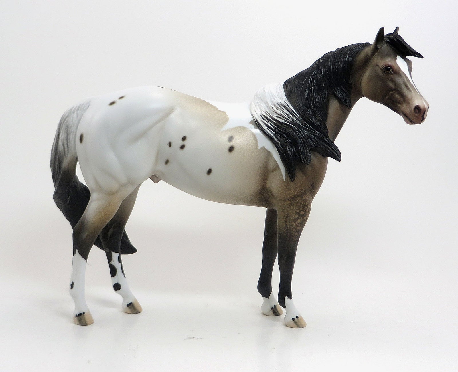 SHIRIKI - OOAK Varnish Pintaloosa Stock Horse 8/21