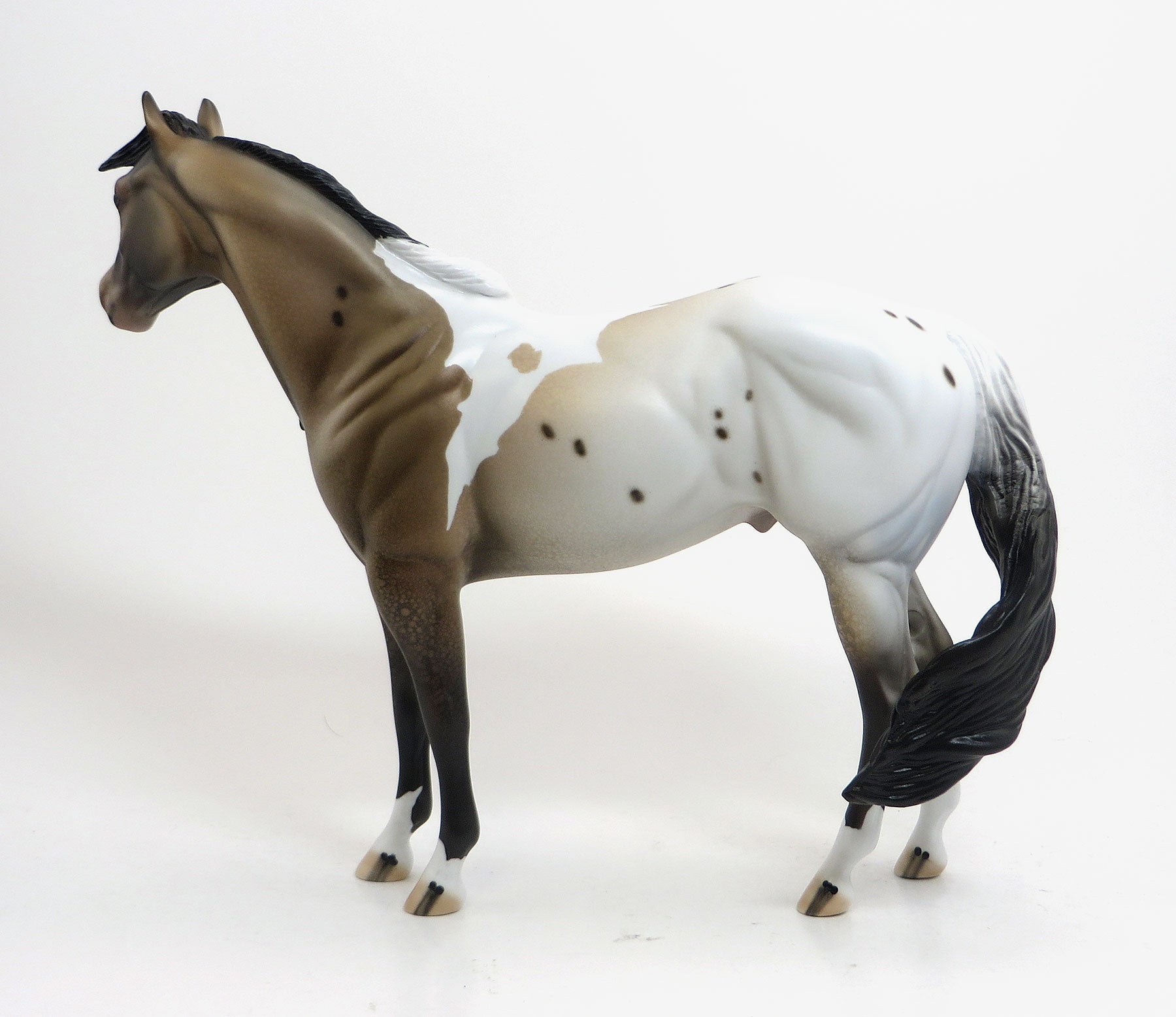 SHIRIKI - OOAK Varnish Pintaloosa Stock Horse 8/21