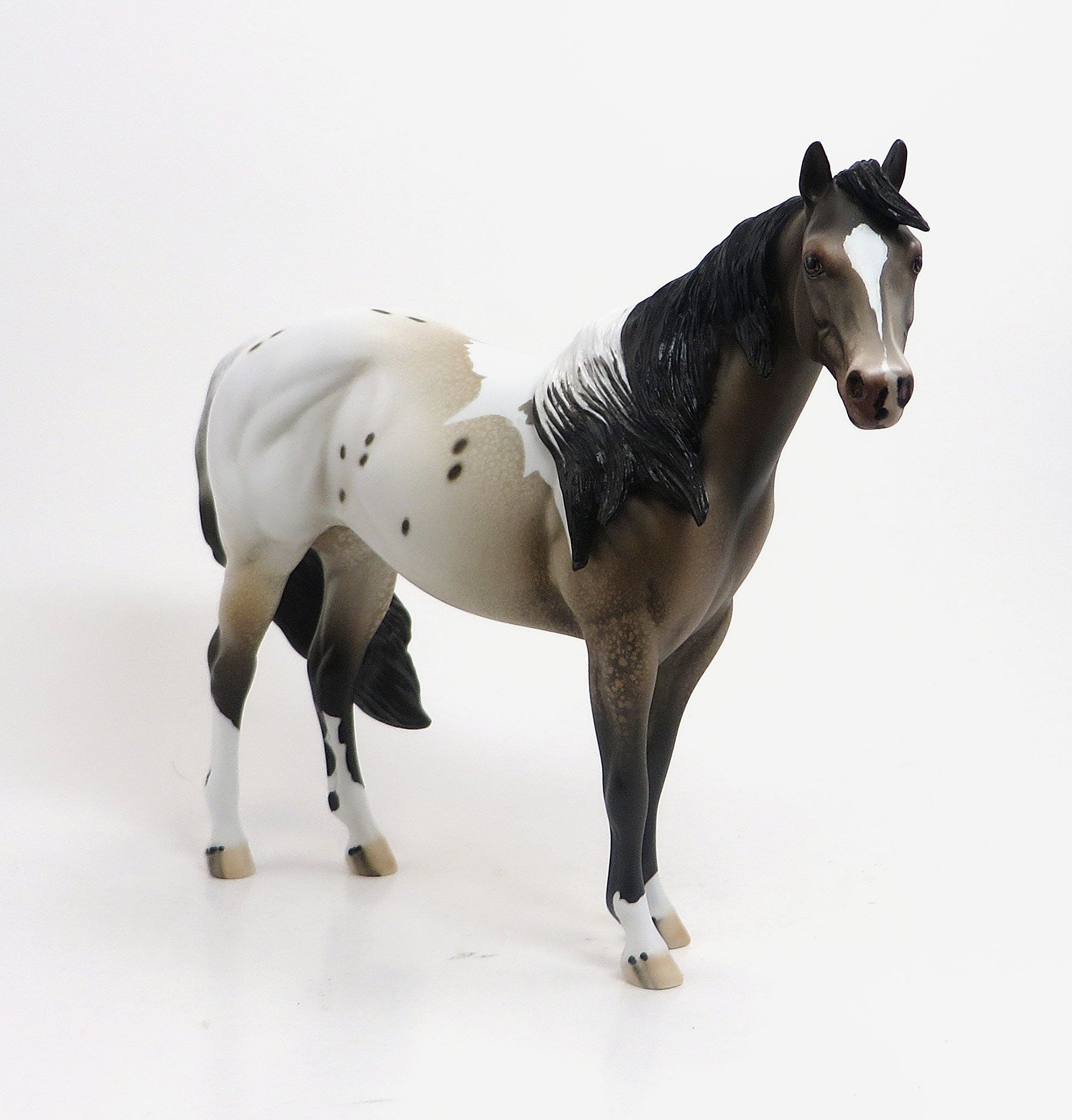 SHIRIKI - OOAK Varnish Pintaloosa Stock Horse 8/21