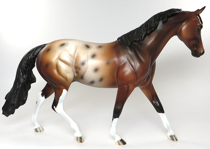 scooter bug appaloosa 