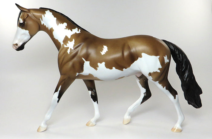 buckskin paint webster