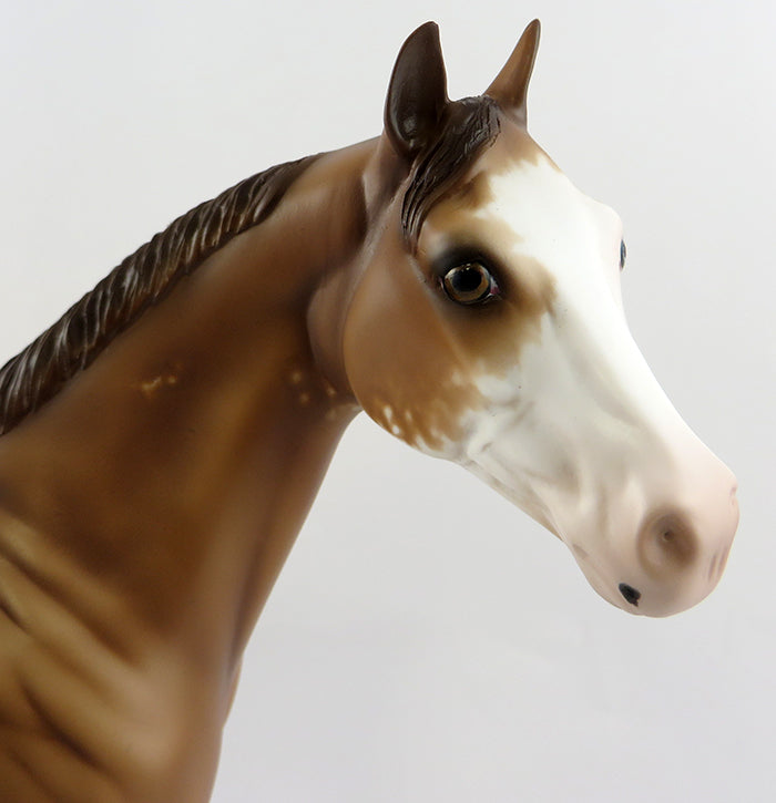 MR. G Q&#39;- OOAK CHESTNUT SPLASH ISH MODEL HORSE 11/10/16