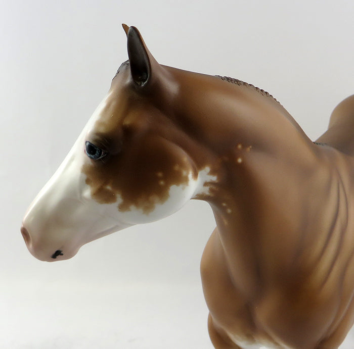 MR. G Q&#39;- OOAK CHESTNUT SPLASH ISH MODEL HORSE 11/10/16