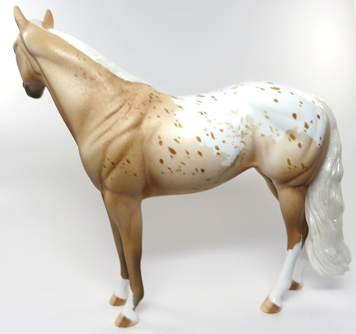 peter stone appaloosa 