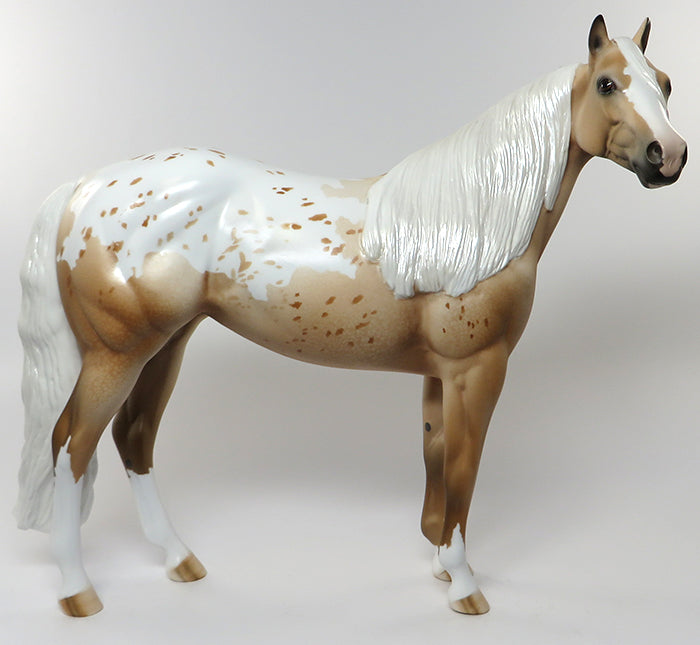 palomino appaloosa 