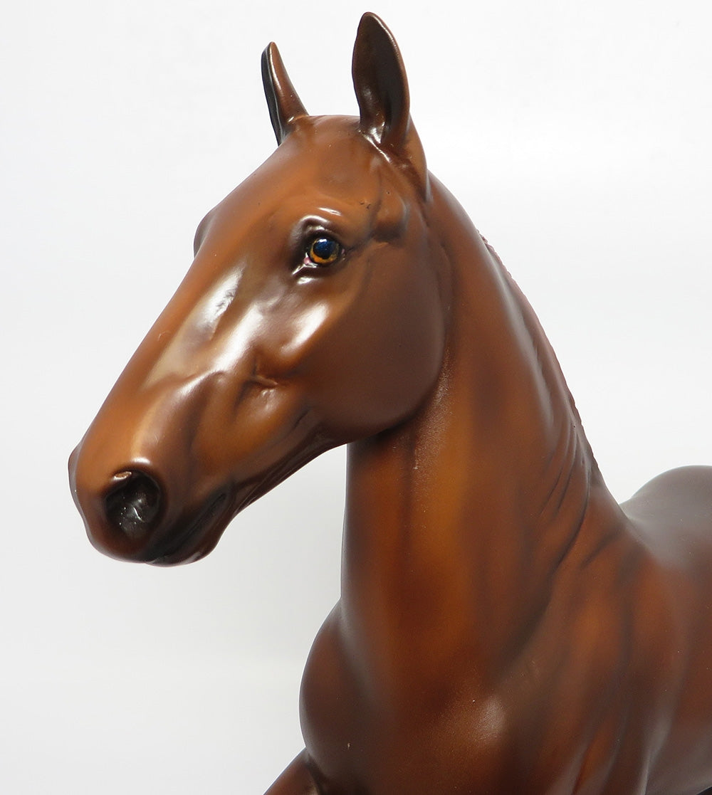 AMITY~OOAK THANKSGIVING TROTTING DRAFTER BY DAWN QUICK 10/19/17