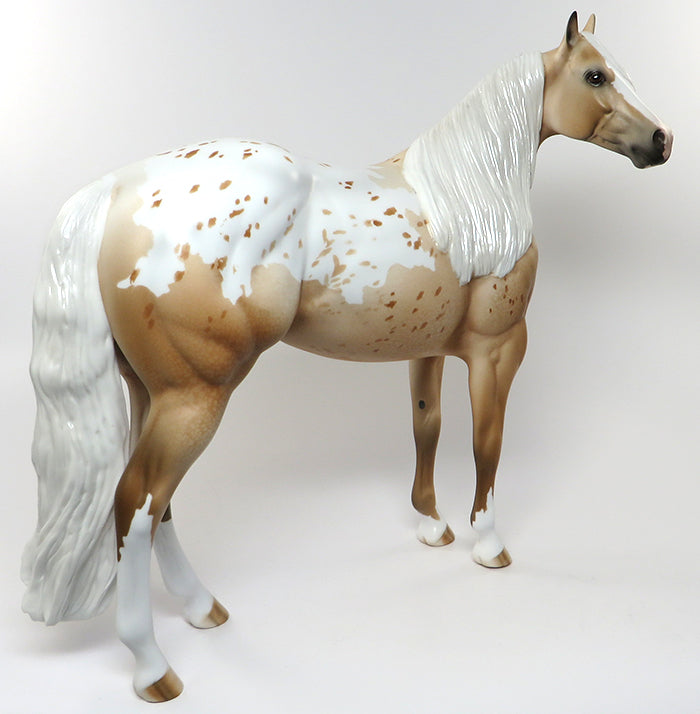 palomino appaloosa 