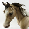 appaloosa