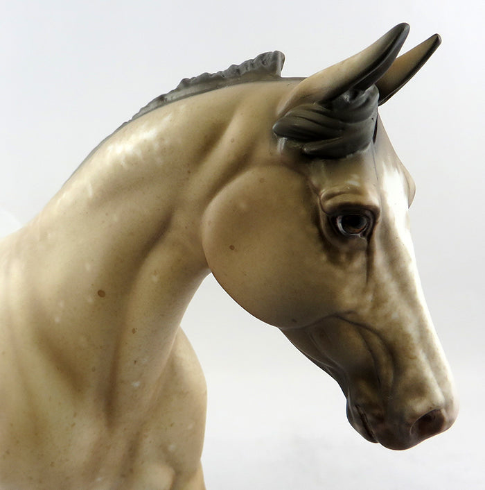 COOL POCO DOT-OOAK APPALOOSA PALOUSE MODEL HORSE BY SHERYL LEISURE 11/10/16