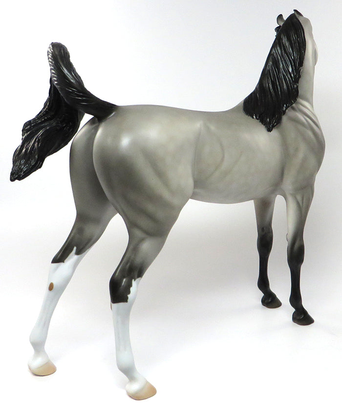 dapple grey arabian sheldek