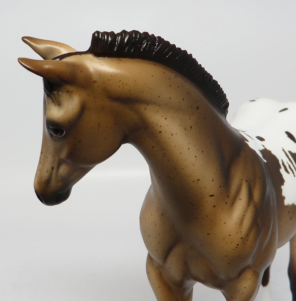 TOLKIEN~OOAK BUCKSKIN APPALOOSA WEANLING MODEL HORSE 10/17/17