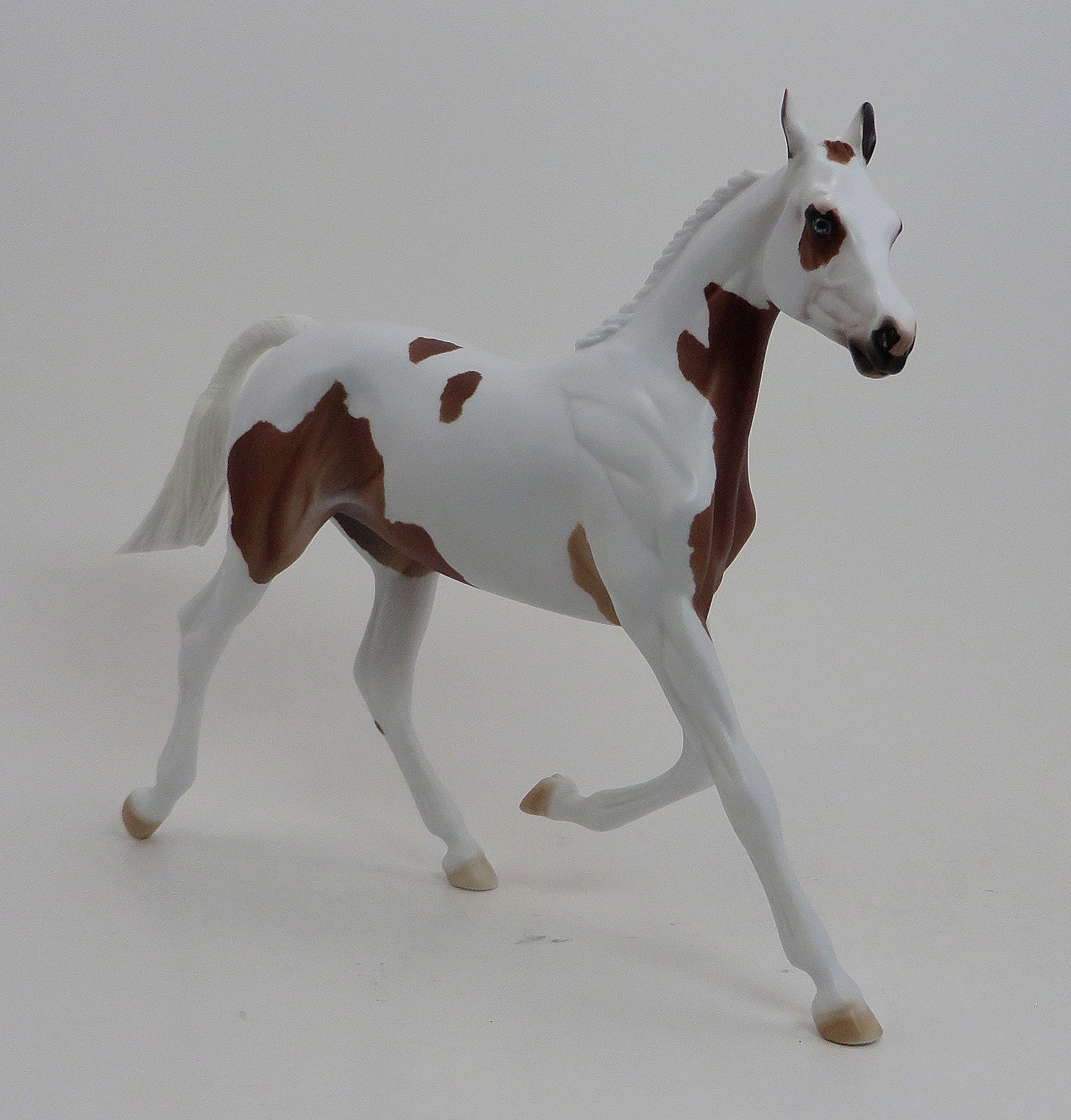 Braided Mane and Tail